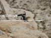 icon for news 'Decisive Episode 9'